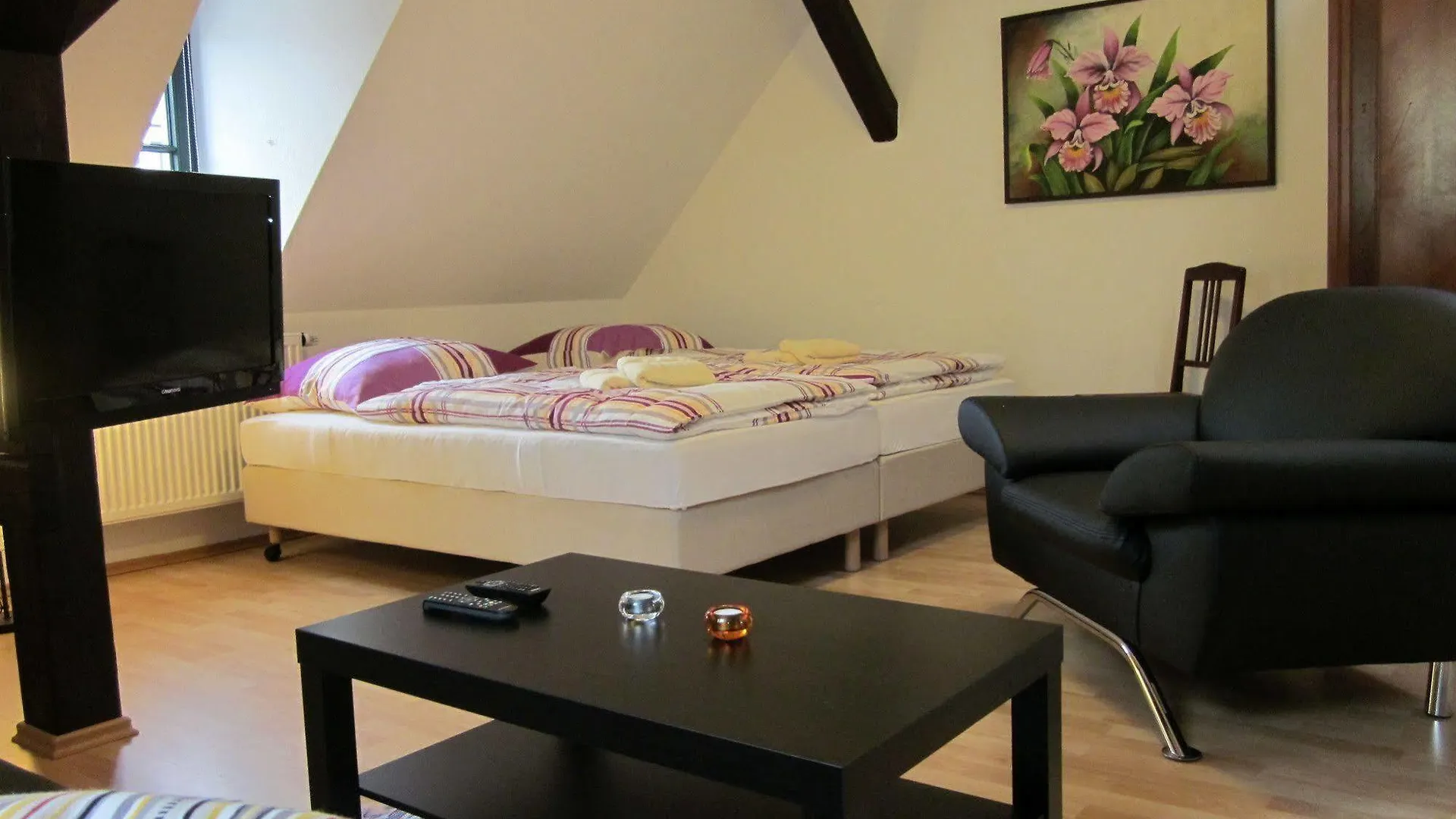 Apartament Villa Barbara Drezno Niemcy